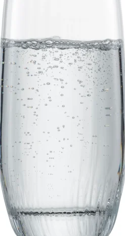 Allround Glas Zwiesel Glas Fortune 392 ml (4-delig)