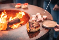 Barbecue White Fire Original Roest