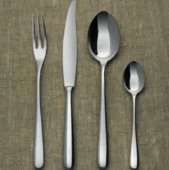 Bestekset Alessi Caccia Monobloc (24-Delig)