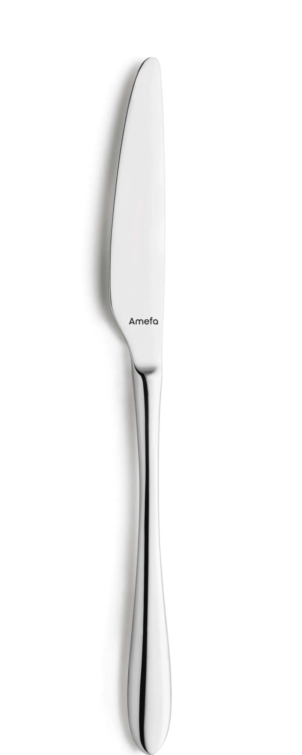 Bestekset Amefa Cuba Zilver (24-delig)