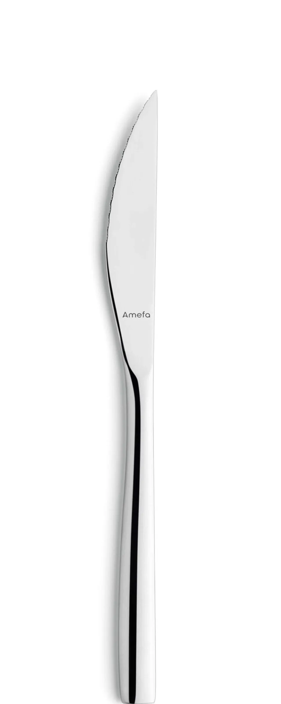 Bestekset Amefa Gaia Zilver (42-delig)