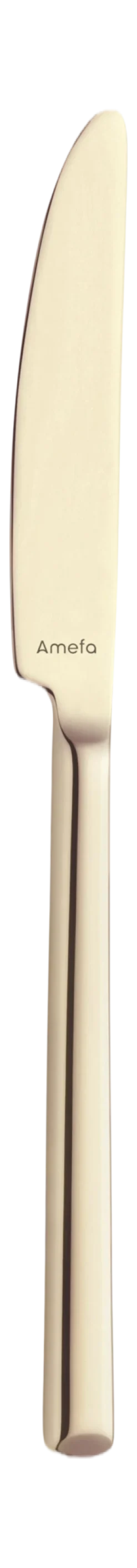 Bestekset Amefa Metropole Champagne (24-delig)
