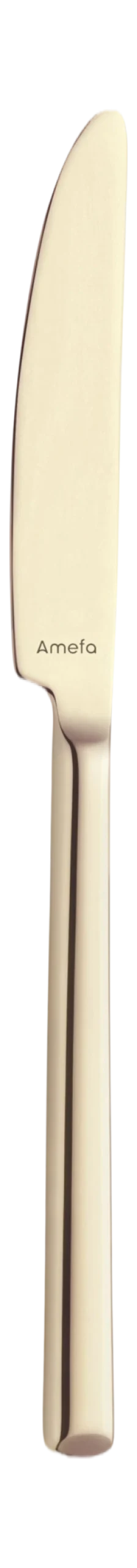 Bestekset Amefa Metropole Champagne (24-delig)