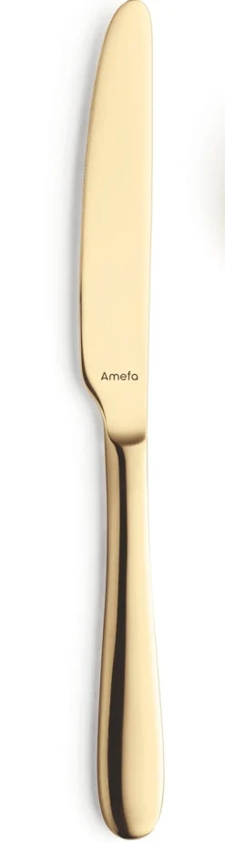 Bestekset Amefa Oxford Goud (24-delig)