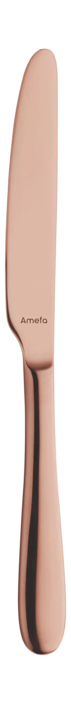 Bestekset Amefa Oxford Koper (24-delig)