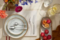 Bestekset Amefa Pontis Zilver (24-delig)