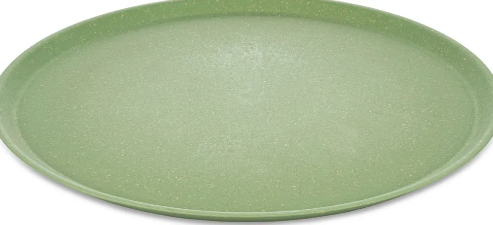 Koziol Bord Bio-Circulair Connect Nature Leaf Green 25,5 cm (4-Delig) New