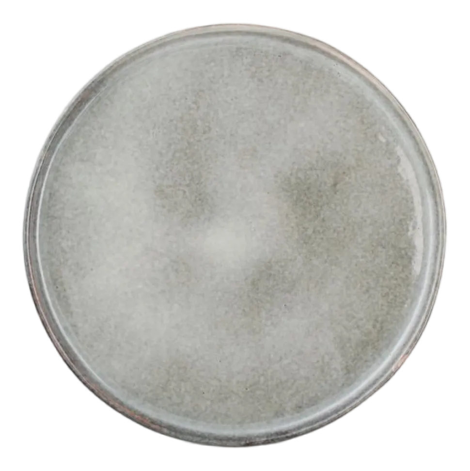 Bord Salt & Pepper Artisan Groen 28 cm (Set van 4)