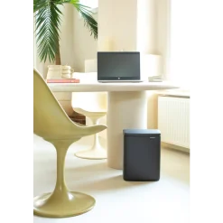 Brabantia Bo Prullenbak 12 L - Mineral Infinite Grey
