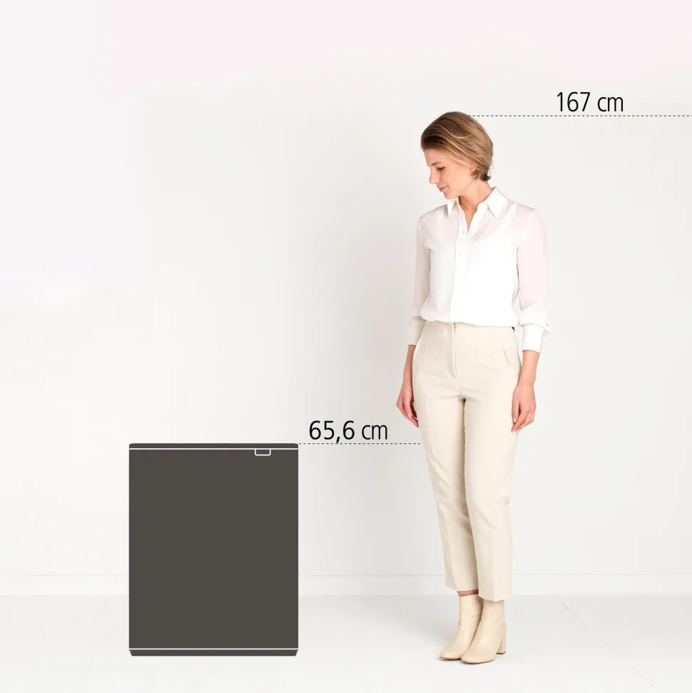 Brabantia Bo Touch Bin 60 Liter (2x30 Liter)