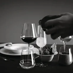 Bormioli Rocco Champagneglas Inalto Uno 28 cl (Set van 6) New