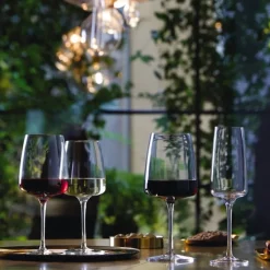 Bormioli Rocco Champagneglas Planeo 24 cl (Set van 4)