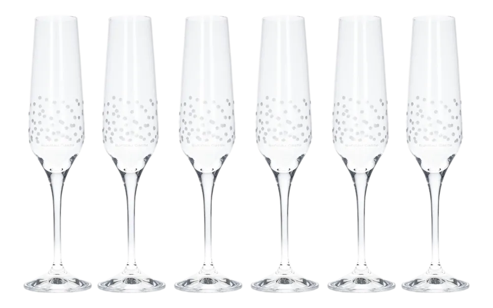 Bunzlau Castle Champagneglas Bubble 195 ml Hot