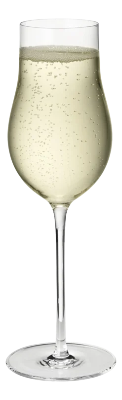 Champagneglas Georg Jensen Sky Crystalline 250 ml (Set van 6)