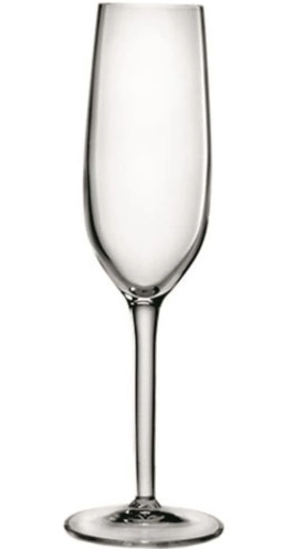 Champagneglas Luigi Bormioli Rubino 210 ml (6-Delig)