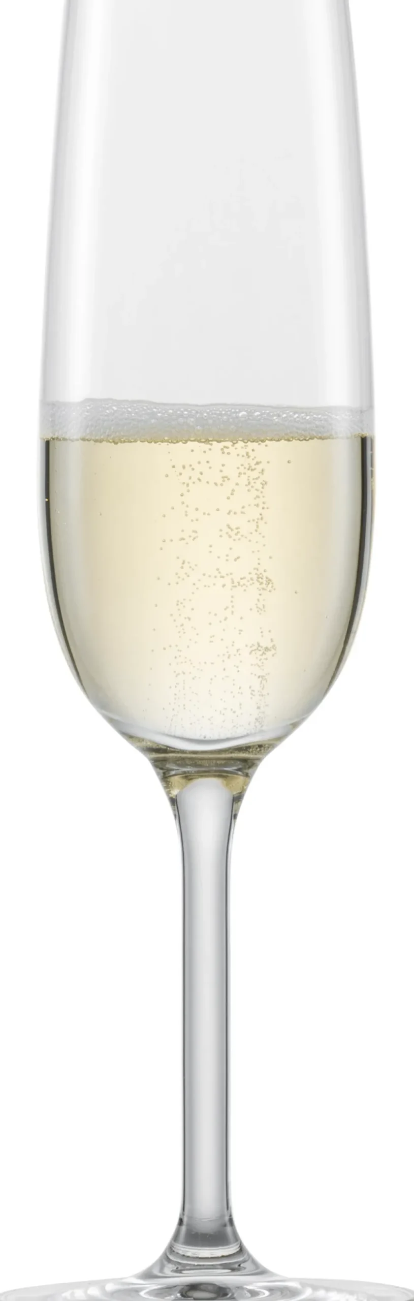Schott Zwiesel Champagneglas Met Banquet 210 ml (6-delig) Discount