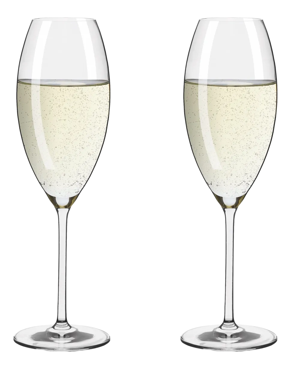 Champagneglas Ritzenhoff Glanzlicht 325 ml (Set van 2)