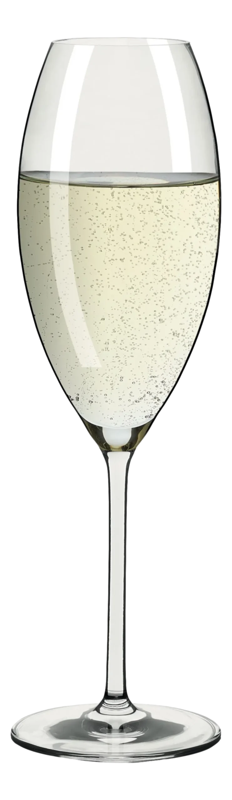 Champagneglas Ritzenhoff Glanzlicht 325 ml (Set van 2)