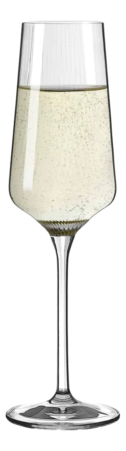 Champagneglas Ritzenhoff Sonnenschliff 230 ml (Set van 2)