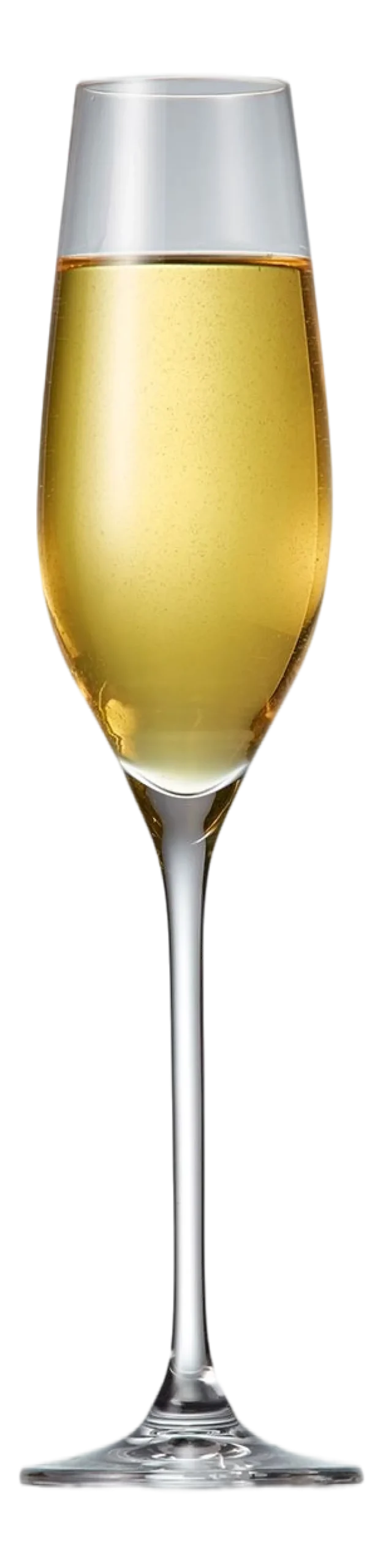 Champagneglas Salt & Pepper Cuvee 210 ml (Set van 6)