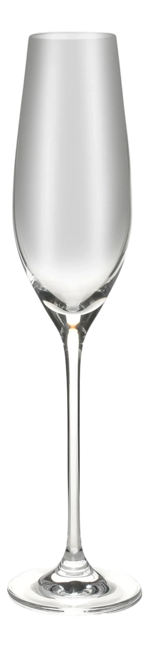 Champagneglas Salt & Pepper Cuvee 210 ml (Set van 6)