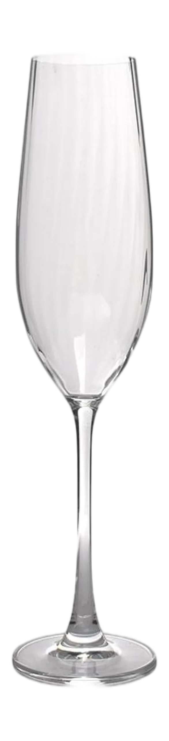 Champagneglas Salt & Pepper Saga Transparent 290 ml (Set van 4)
