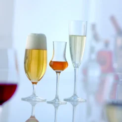 Schott Zwiesel Champagneglas Classico (6-delig)