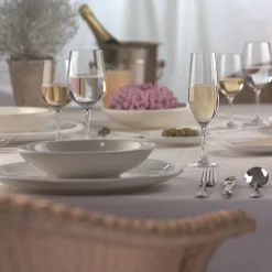 Schott Zwiesel Champagneglas Congresso (6-delig) Sale