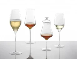 Schott Zwiesel Champagneglas Audience (6-delig) Outlet
