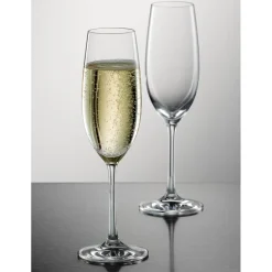 Schott Zwiesel Champagneglas Ivento (6-delig) Best