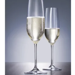 Schott Zwiesel Champagneglas Viña (6-delig) Outlet