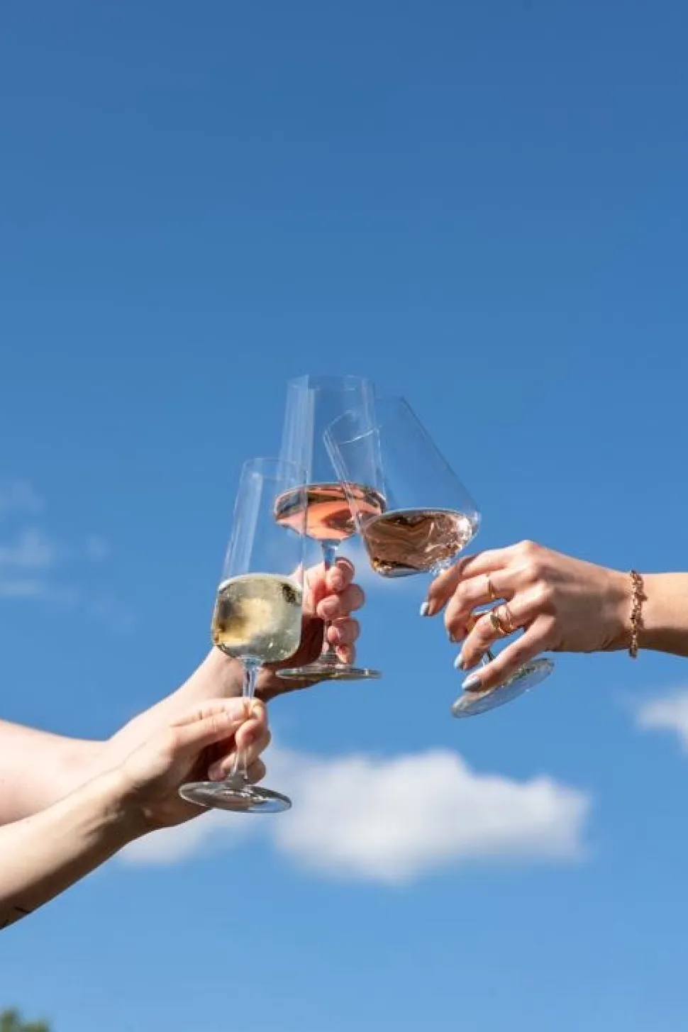 Champagneglas Schott Zwiesel MioVino 260 ml (Set van 4)