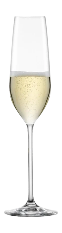 Schott Zwiesel Champagneglas Fortissimo 240 ml (Set van 4) Sale