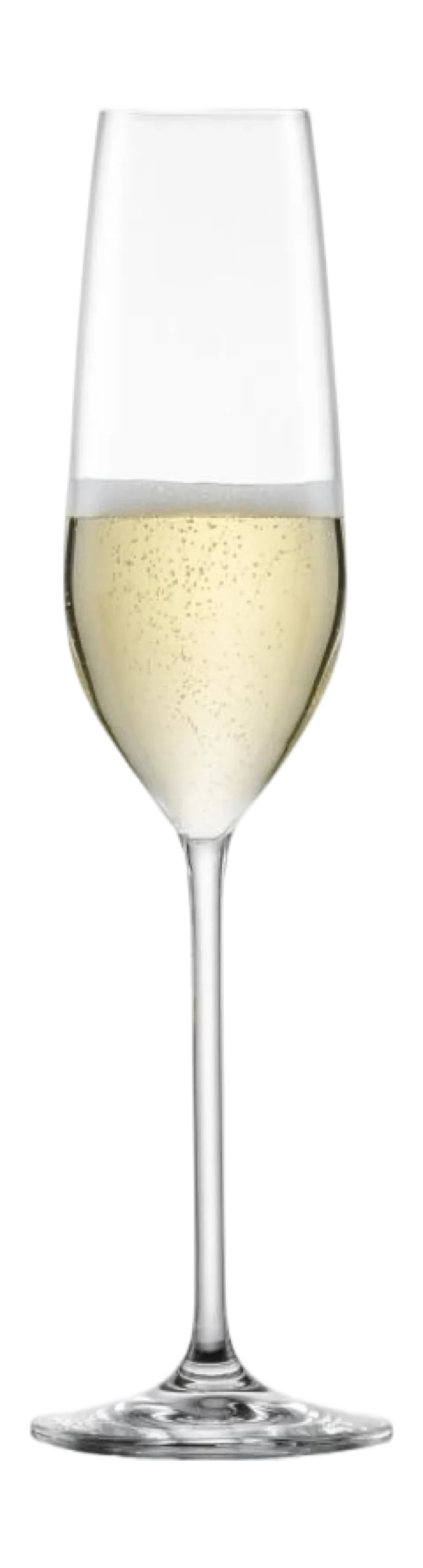 Schott Zwiesel Champagneglas Fortissimo 240 ml (Set van 4) Sale