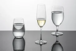 Schott Zwiesel Champagneglas Forté (Vina) 227 ml (Set van 4) Online