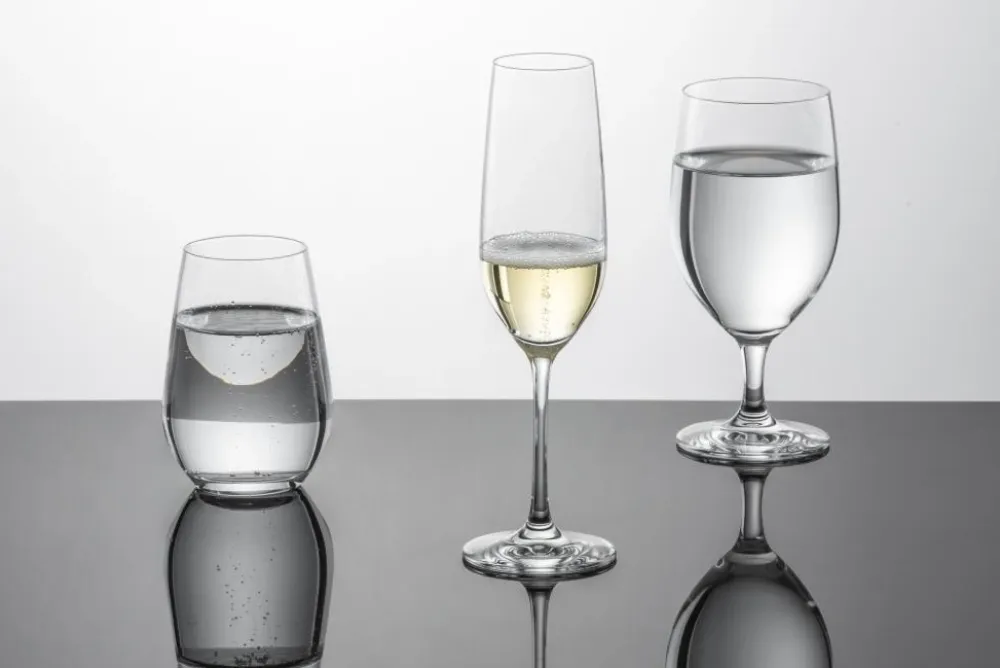 Schott Zwiesel Champagneglas Forté (Vina) 227 ml (Set van 4) Online