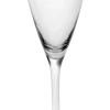 Champagneglas Serax Silhouette Transparent 150 ml
