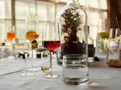Champagneglas Zone Denmark Rocks Clear 21 cl (2-delig)