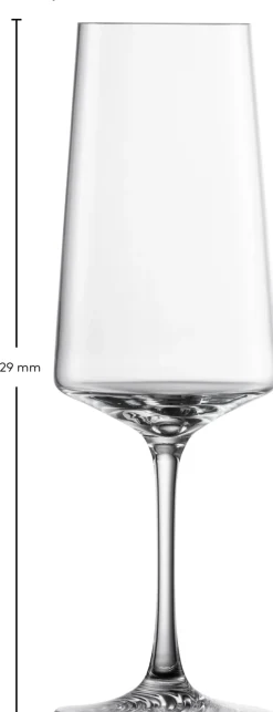 Champagneglas Zwiesel Glas Echo 395 ml (Set van 4)