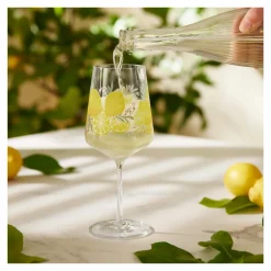 Ritzenhoff Cocktailglas Sommertau #19 #20 544 ml (Set van 2) Best
