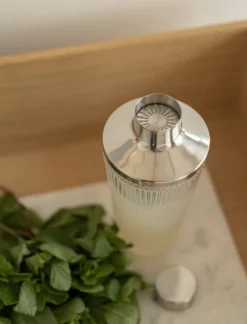 Stelton Cocktailshaker Pilastro Clear 400 ml
