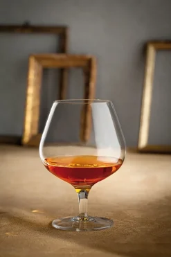 Cognacglas Luigi Bormioli Napoleon 230 ml (6-Delig)