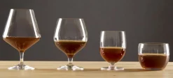 Schott Zwiesel Cognacglas Mondial (6-delig) Best