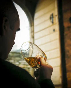 Peugeot Degustatieglas Impitoyable Taster Clearance