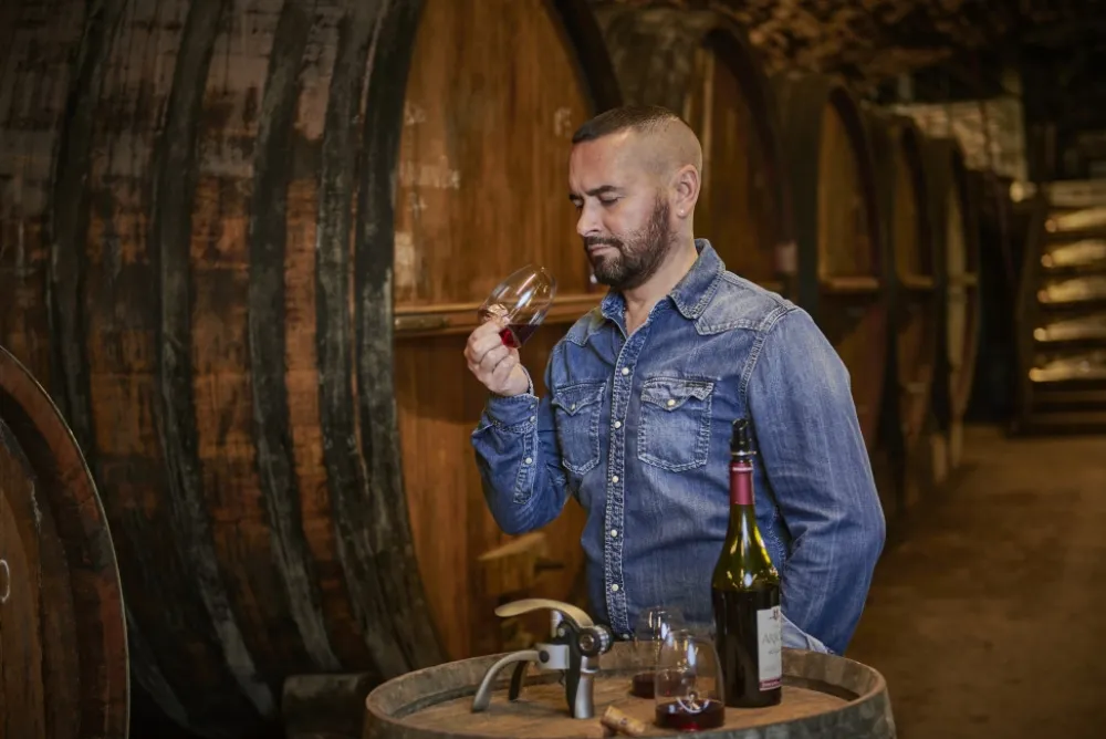 Peugeot Degustatieglas Impitoyable Taster Clearance