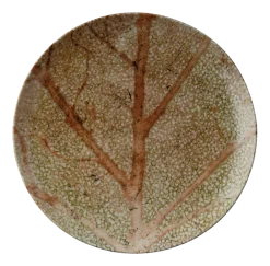 Arthur Krupp Dinerbord Porcelain Nature Essence A 27,5 cm Online