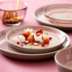 Dinerbord Bitz Gastro Grey Light Pink 27 cm (set van 6)