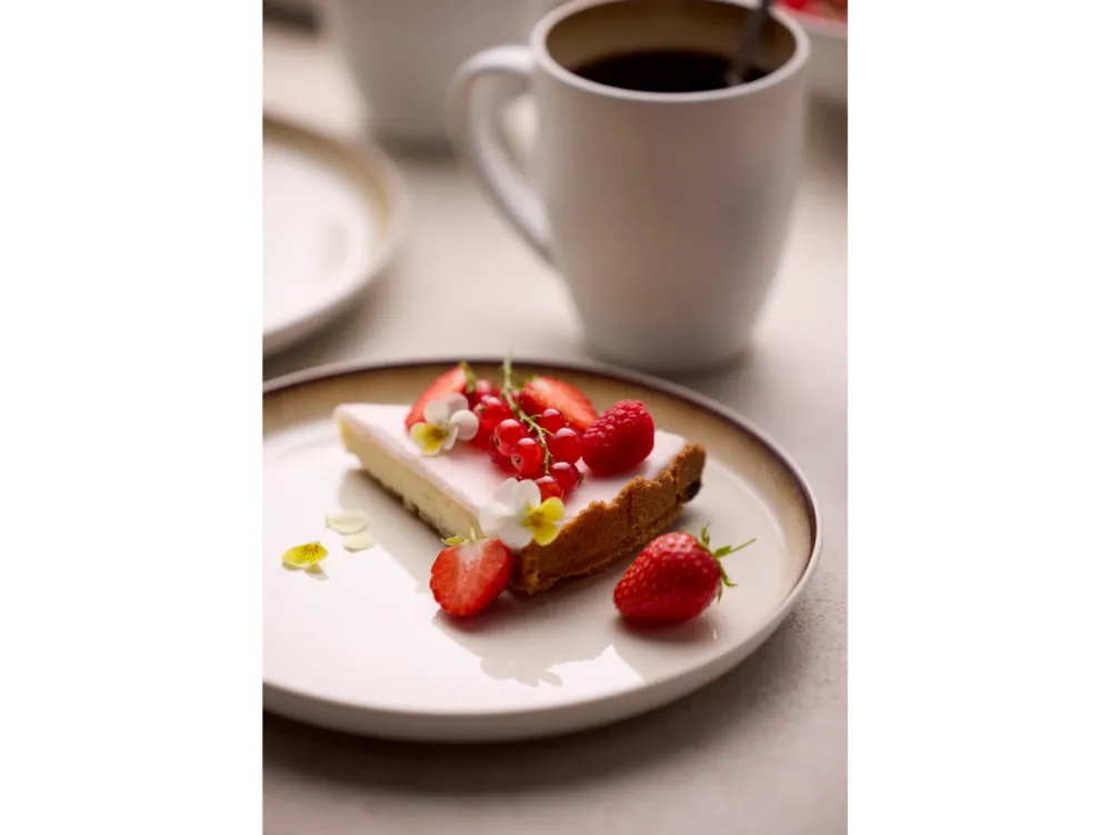 Bitz Dinerbord Gastro White / Cream 21 cm (Set van 6)