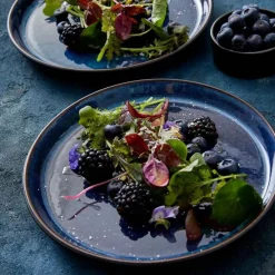 Bitz Dinerbord Gastro Zwart Donkerblauw 27 cm (set van 6) Online