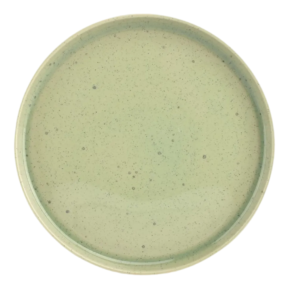 Dinerbord Salt & Pepper Blush Green 27,5 cm (Set van 4)